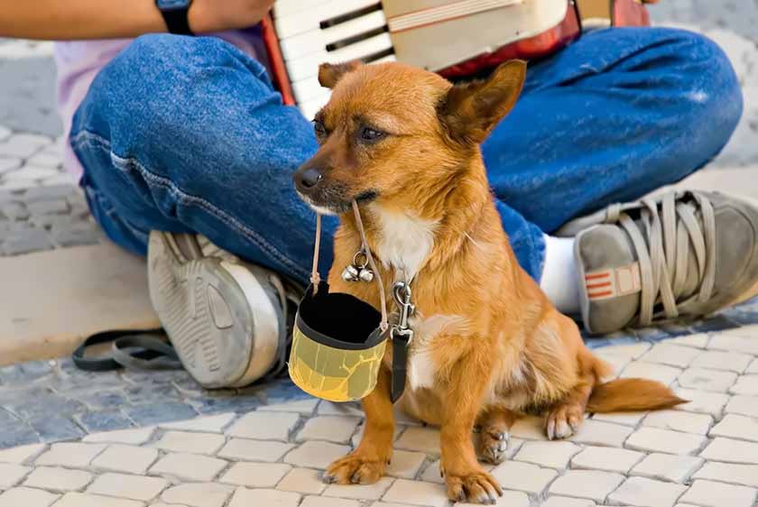 cách thanh lý đồ cũ